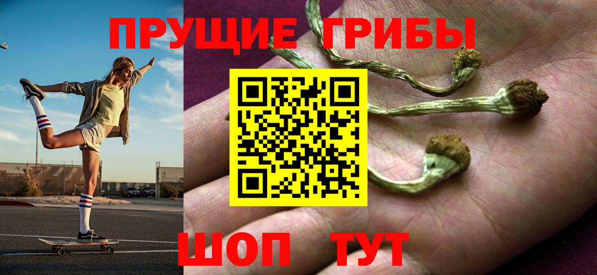 Псилоцибиновые грибы Magic Shrooms Волоколамск
