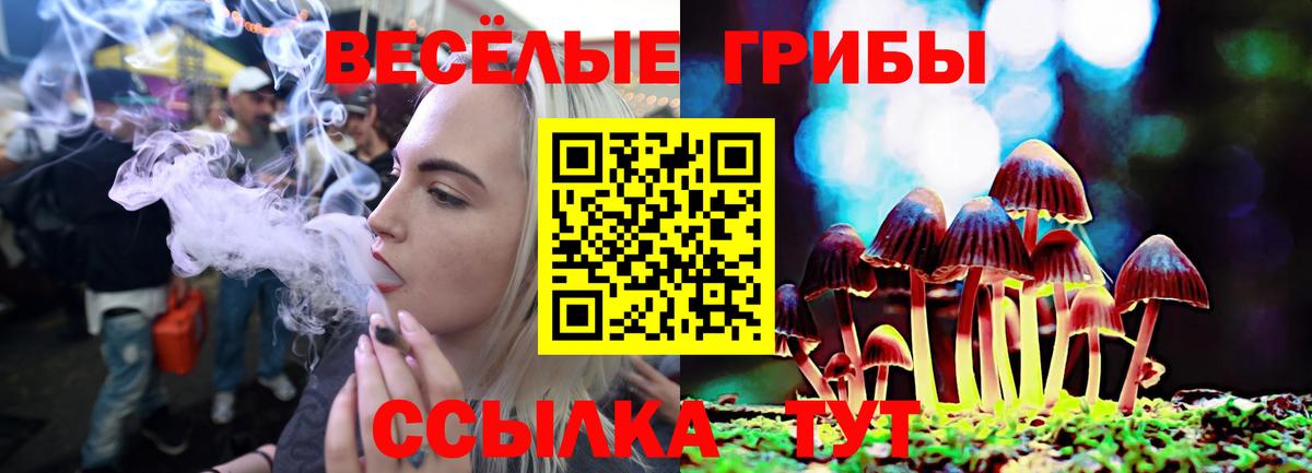 Псилоцибиновые грибы прущие грибы  Вход с VPN  Псилоцибиновые грибы Psilocybe  Волоколамск 